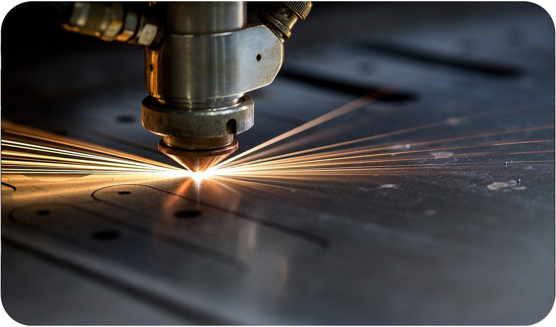 الصورة_20251114101044_307_14